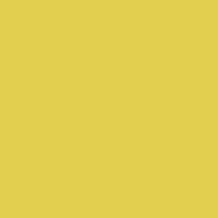 YELLOW - Y04