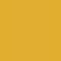 SUNFLOWER YELLOW - Y21