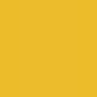 LIGHTMING YELLOW - A4J