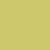 LEMON YELLOW - 481