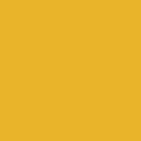 ROYAL YELLOW - Y78