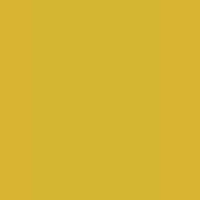 YELLOW - 561