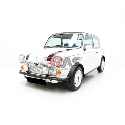 ROVER MINI 2 volumi /Coda spiovente 08-1990/05-2001